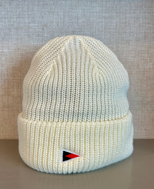 American Needle Beanie